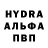 Бошки Шишки гибрид Zhuldyz Rakhimbekova