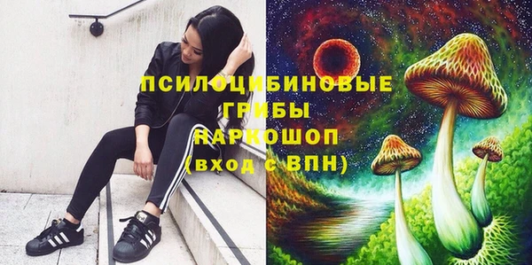 соль ск Армянск