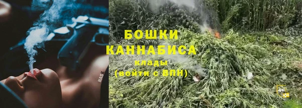 прущие крисы Арсеньев
