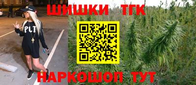 индика Партизанск