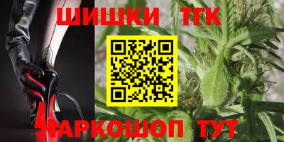 мдпв Пенза