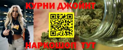 индика Партизанск