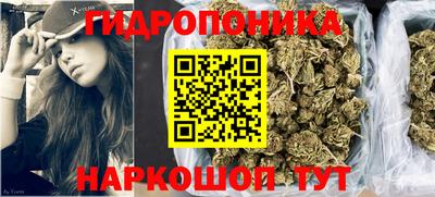 индика Партизанск