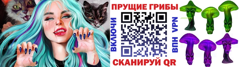 наркотики  Пушкино  Галлюциногенные грибы Cubensis 