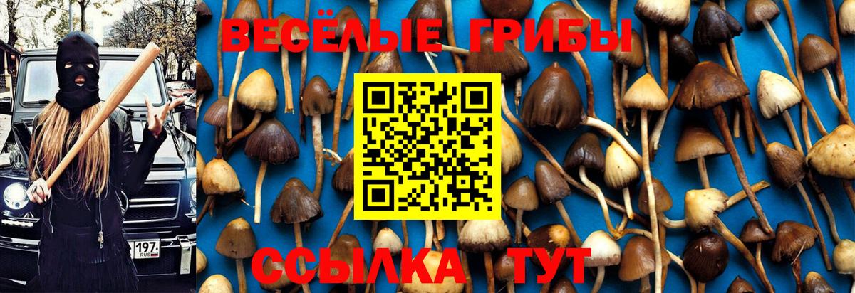 Псилоцибиновые грибы мухоморы Пушкино