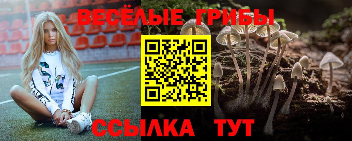 Пушкино  Псилоцибиновые грибы MAGIC MUSHROOMS  Псилоцибиновые грибы MAGIC MUSHROOMS  Вход с VPN 