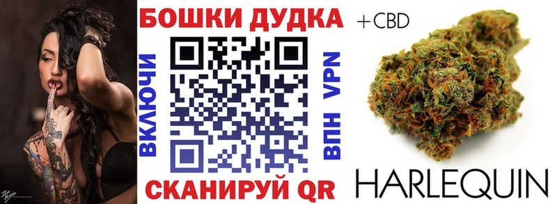 купить наркоту  Пушкино  mega tor  Конопля план 